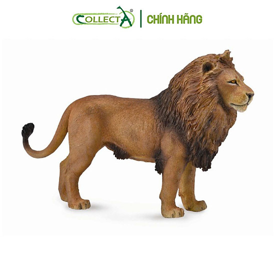 Mô hình thu nhỏ sư tử bố - african lion, hiệu collecta, mã hs 9651120 - ảnh sản phẩm 1