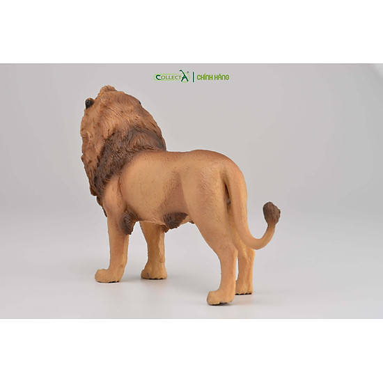 Mô hình thu nhỏ sư tử bố - african lion, hiệu collecta, mã hs 9651120 - ảnh sản phẩm 2