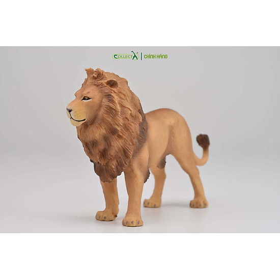Mô hình thu nhỏ sư tử bố - african lion, hiệu collecta, mã hs 9651120 - ảnh sản phẩm 5