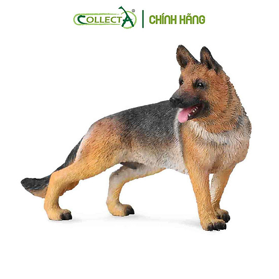 Mô hình thu nhỏ chó shepherd - german shepherd, hiệu collecta - ảnh sản phẩm 1