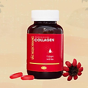 Collagen Sắc Ngọc Khang thế hệ mới 100% nguyên liệu nhập khẩu từ Nhật Bản Hộp 60 viên
