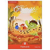 Greenman And The Magic Forest B Flashcards (Pack Of 48)