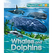 Explorers Whales And Dolphins