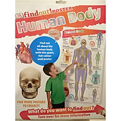 DKfindout Human Body Poster