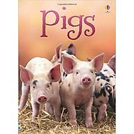 Usborne Pigs thumbnail