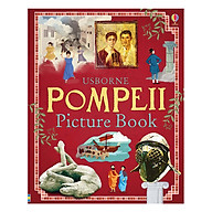 Usborne Pompeii Picture Book thumbnail