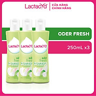 Bộ 3 chai Dung dịch vệ sinh phụ nữ Lactacyd Odor Fresh 250ml chai (Mẫu mới) thumbnail
