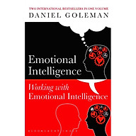 Emotional Intelligence & Working with Emotional Intelligence thumbnail