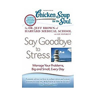 Chicken Soup for the Soul Say Goodbye to Stress Manage Your Problems, Big and Small, Every Day thumbnail