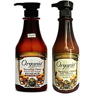Combo dầu gội chống rụng tóc olive 750g và sữa tắm thư giãn olive 750g thumbnail