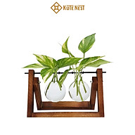 [Kute Nest] Bộ bình hoa thủy tinh hình bóng đèn treo giá gỗ phong cách retro - Phù hợp trồng cây thủy sinh, cắm hoa trang trí thumbnail