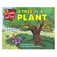 Lrafo L1 Tree Is A Plant thumbnail