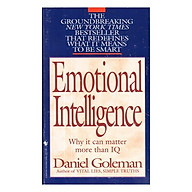 Emotional Intelligence Why It Can Matter More Than IQ thumbnail
