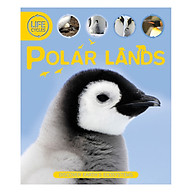 Life Cycles Polar Lands thumbnail