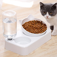 Bát ăn nghiêng kết hợp bình uống nước tự động cho chó mèo thumbnail