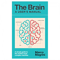 The Brain A User s Manual thumbnail