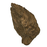 Gỗ lũa ngọc am tự nhiên phong thủy Ma 57 (39cm x 22cm) thumbnail