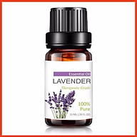 Tinh Dầu Oải Hương Lavender Nguyên Chất RẺ VÔ ĐỊCH thumbnail