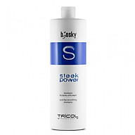 Dầu gội siêu mượt cho tóc thẳng Sleek Power Shampoo 1000ML thumbnail