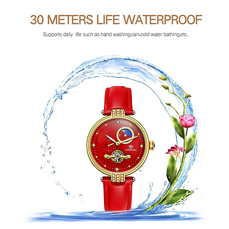 Đồng hồ đeo tay nữ forsining thiết kế dây da thời trang, chuyển động cơ học, khả năng chống nước cao 3atm 6