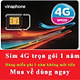 Sim 4G Vinaphone D500 Vào Mạng Trọn Gói 1 Năm Miễn Phí Không Nạp Tiền 3