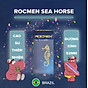 Bộ 2 bao cao su rocmen sea horse spikes brazil - kéo dài thời gian, gai li ti xung quanh - 20 chiếc 2