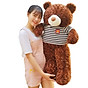 Gấu Bông Teddy 1m2 khổ vải cao 1m thumbnail