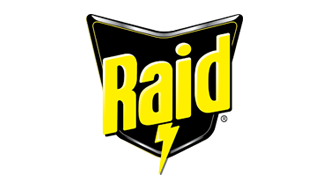 Raid