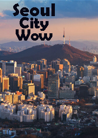 SEOUL CITY WOW FOR FSX P3D4 P3D5