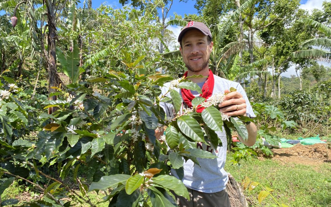 570: How Gold Mountain Coffee Growers Runs in Nicaragua With Ben Weiner, Gold Mountain Coffee Growers [K-Cup TripleShot]