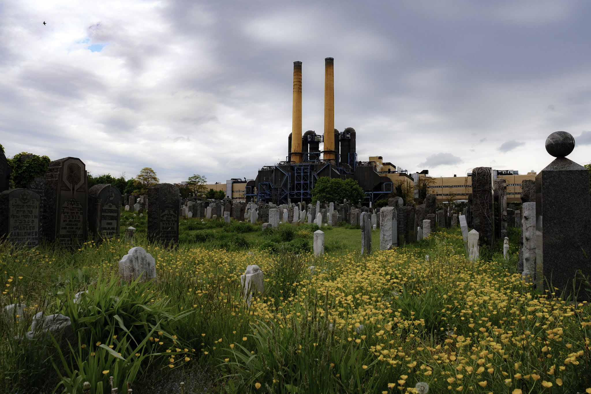 Mt. Zion Cemetery, Queens, New York, 2020.