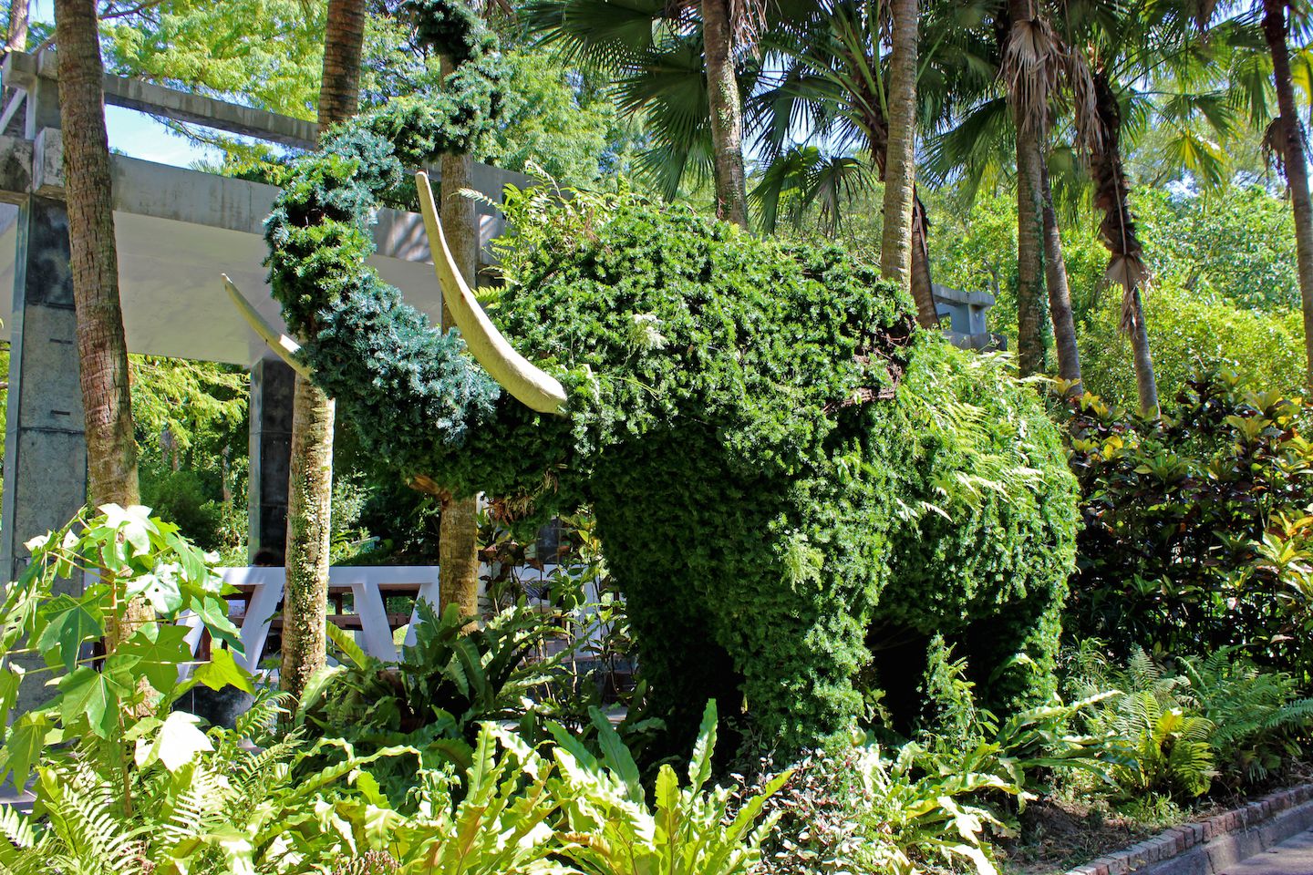 Elephant-shaped tree