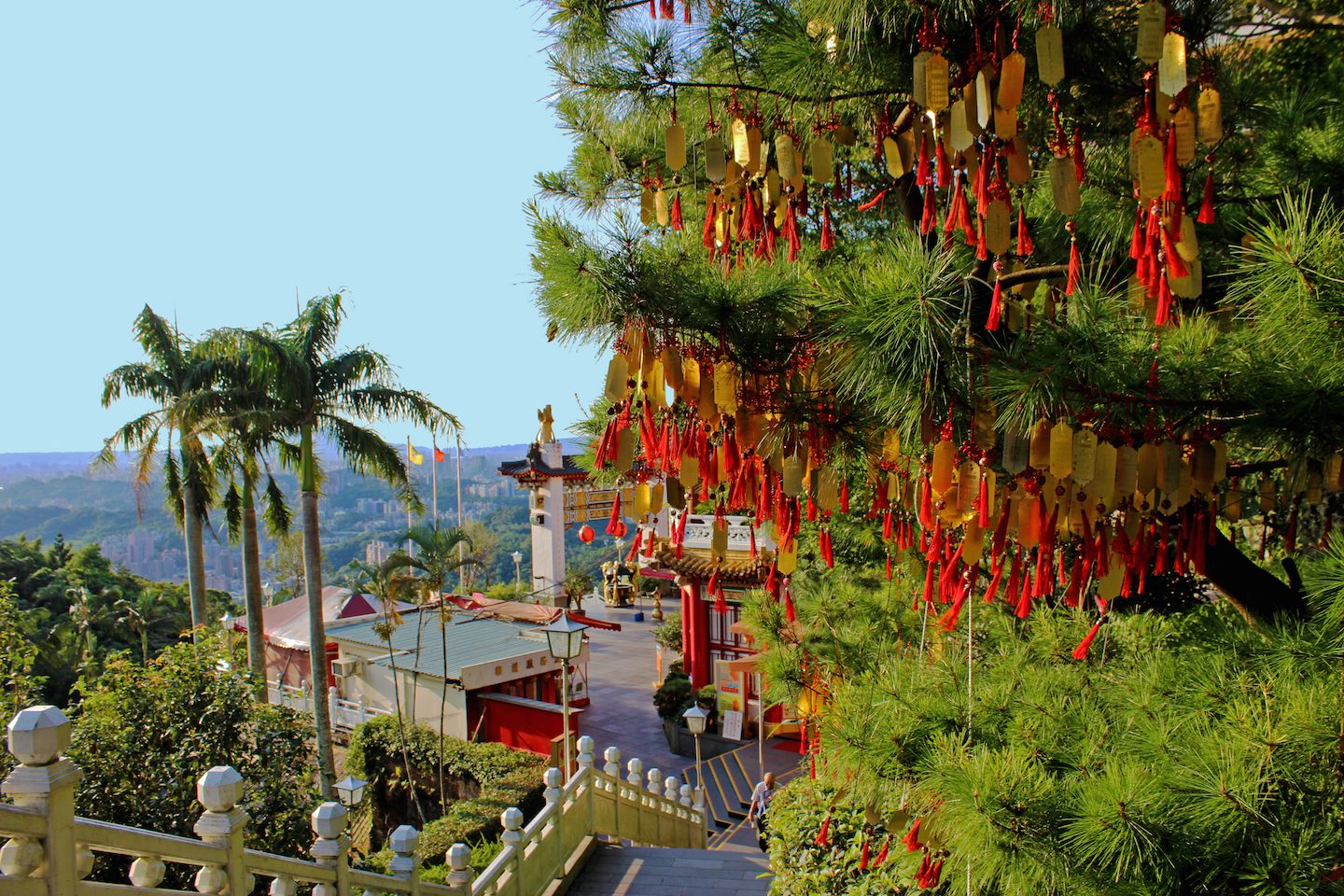 Wishing trees on the way to Zhinan Temple, Taipei, Taiwan