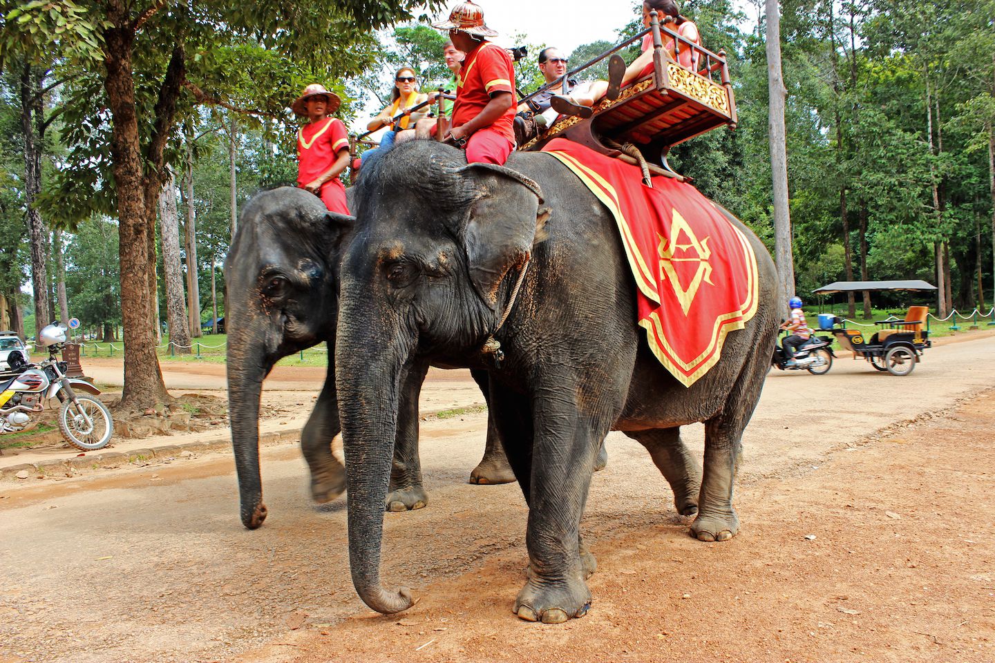 Elephants at Angkor Thom