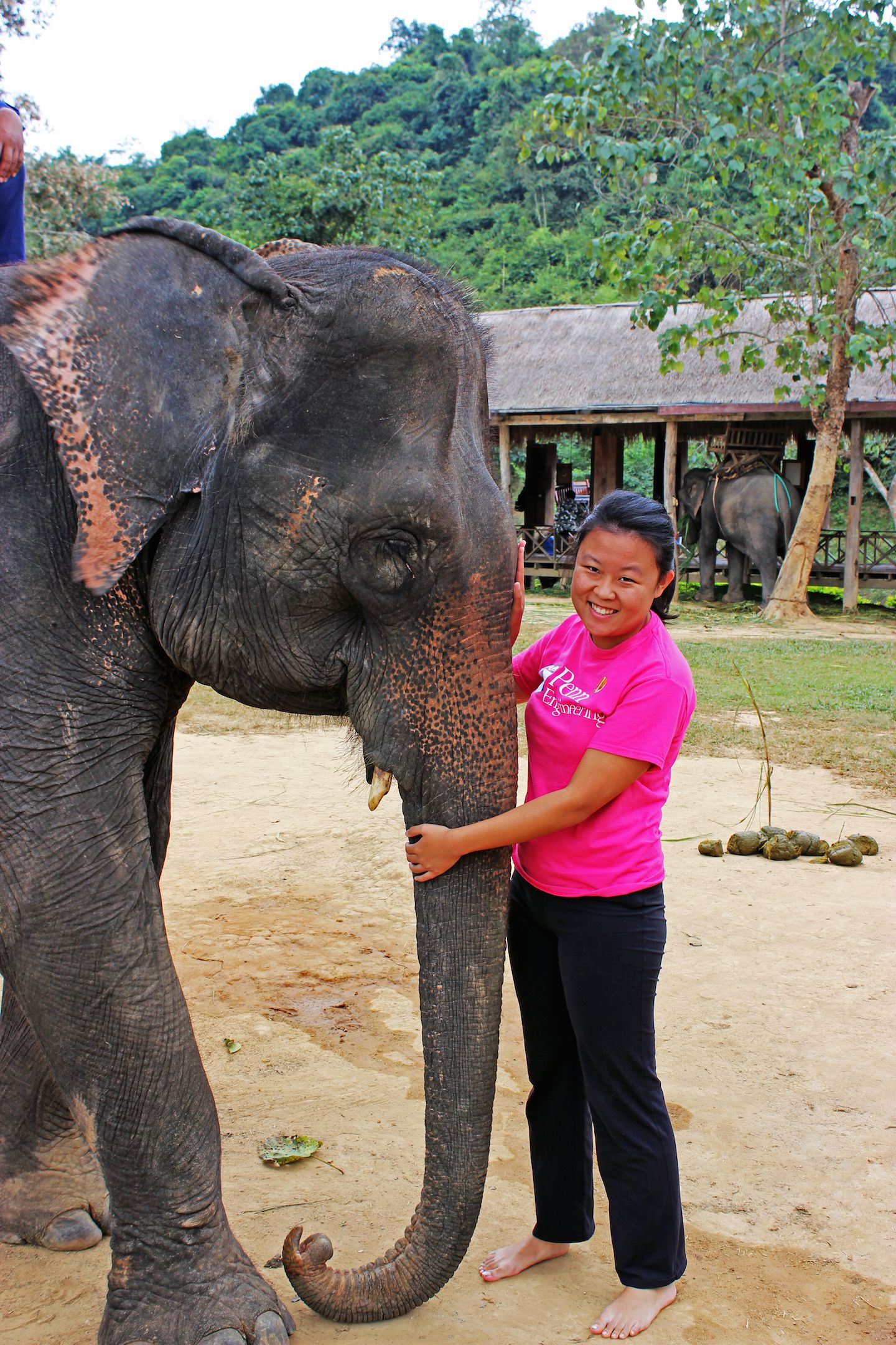 Julie hugging the elephant at the Elephant Village, Luang Prabang, Laos