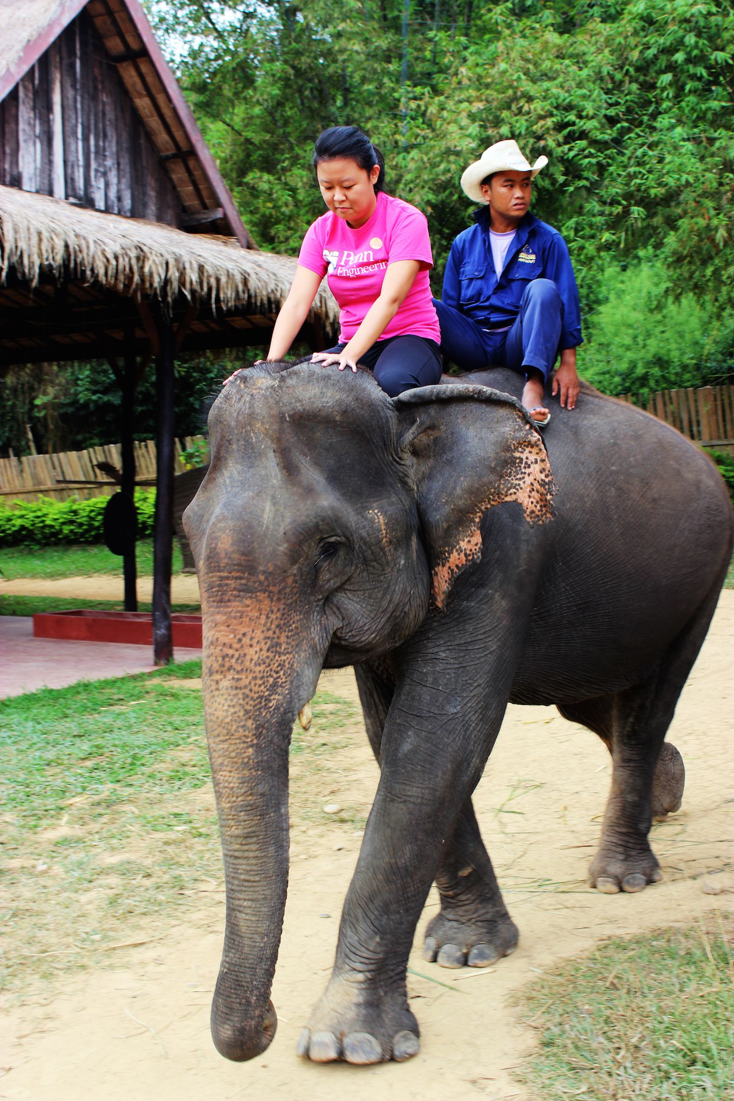 Julie learning how to ride the elephant at the Elephant Village, Luang Prabang, Laos