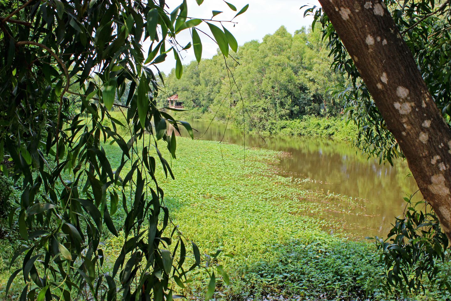 Lake where many bodies could still be buried at the Choeung-Ek Killing Fields