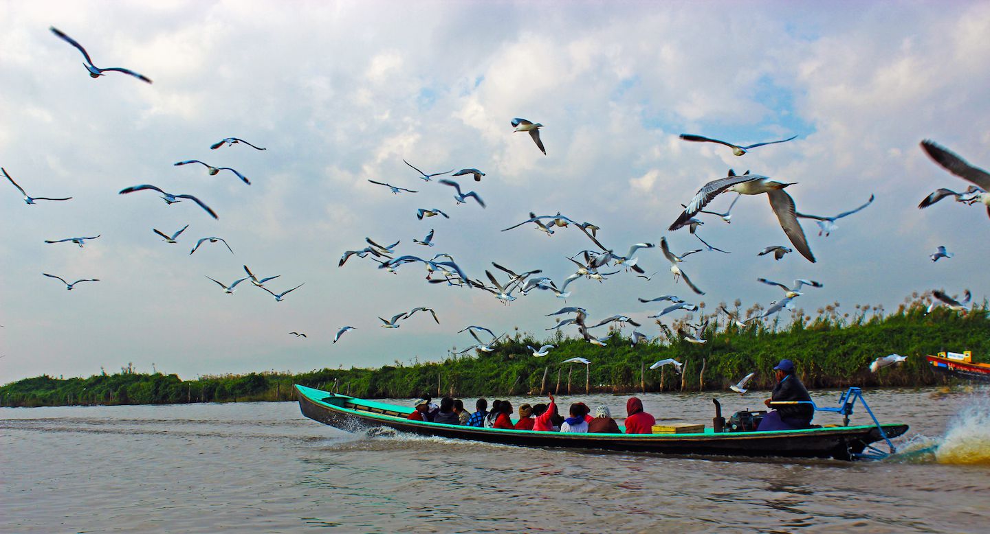 Birds flying with us, Inle Lake, Myanmar