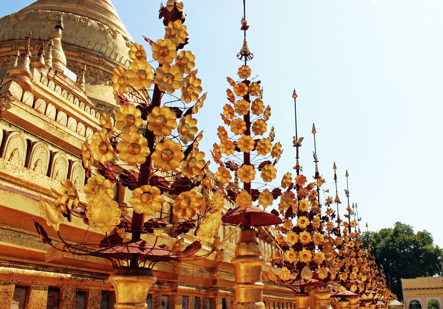 Golden flowers at Schwezigon Pagoda, Bagan, Myanmar