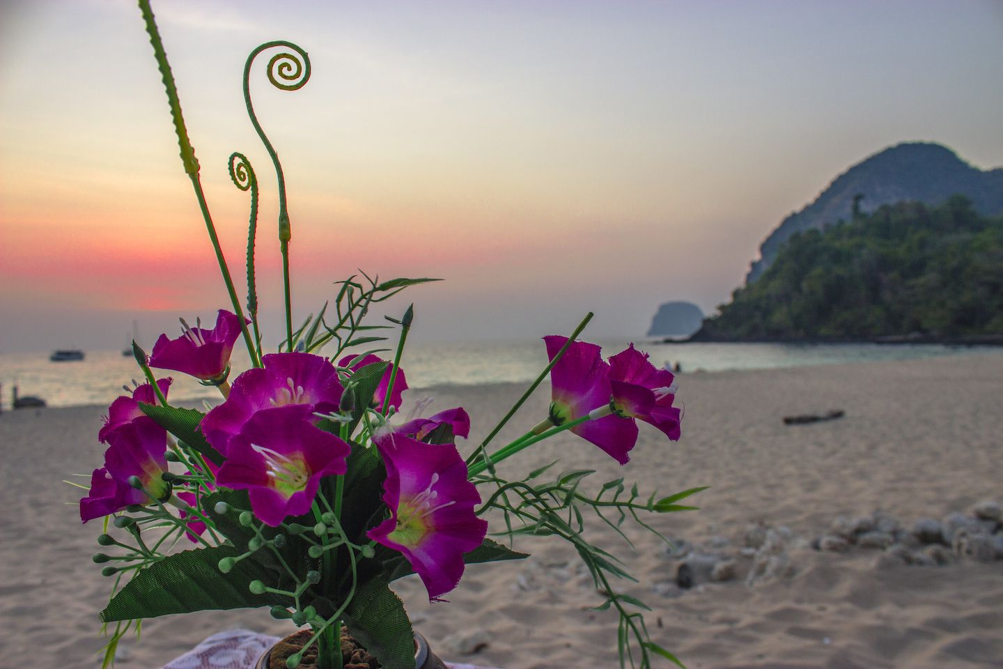 Flowers decorating our table during the Valentine's Day sunset dinner, Koh Muk, Thailand
