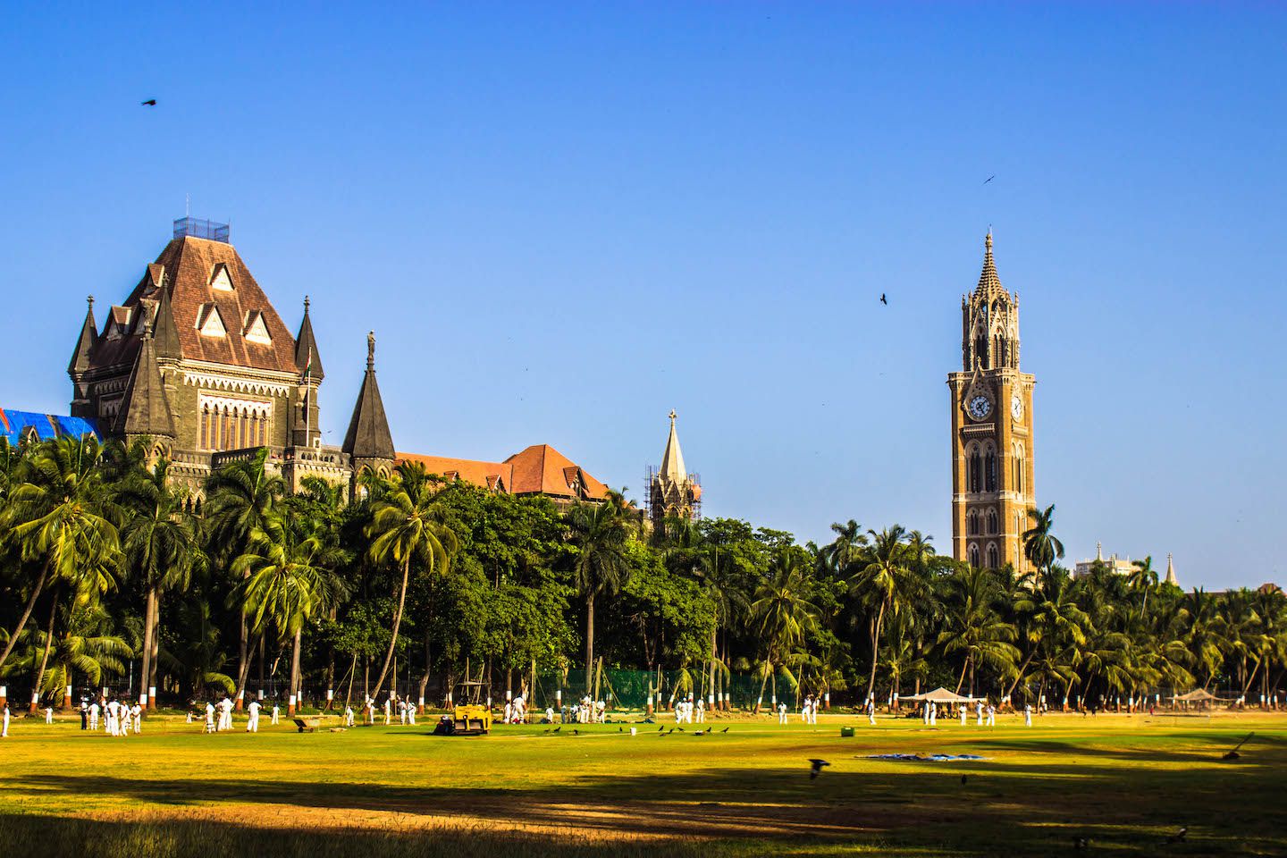 Mumbai High Court and Rajabai Clock Tower, Mumbai, India