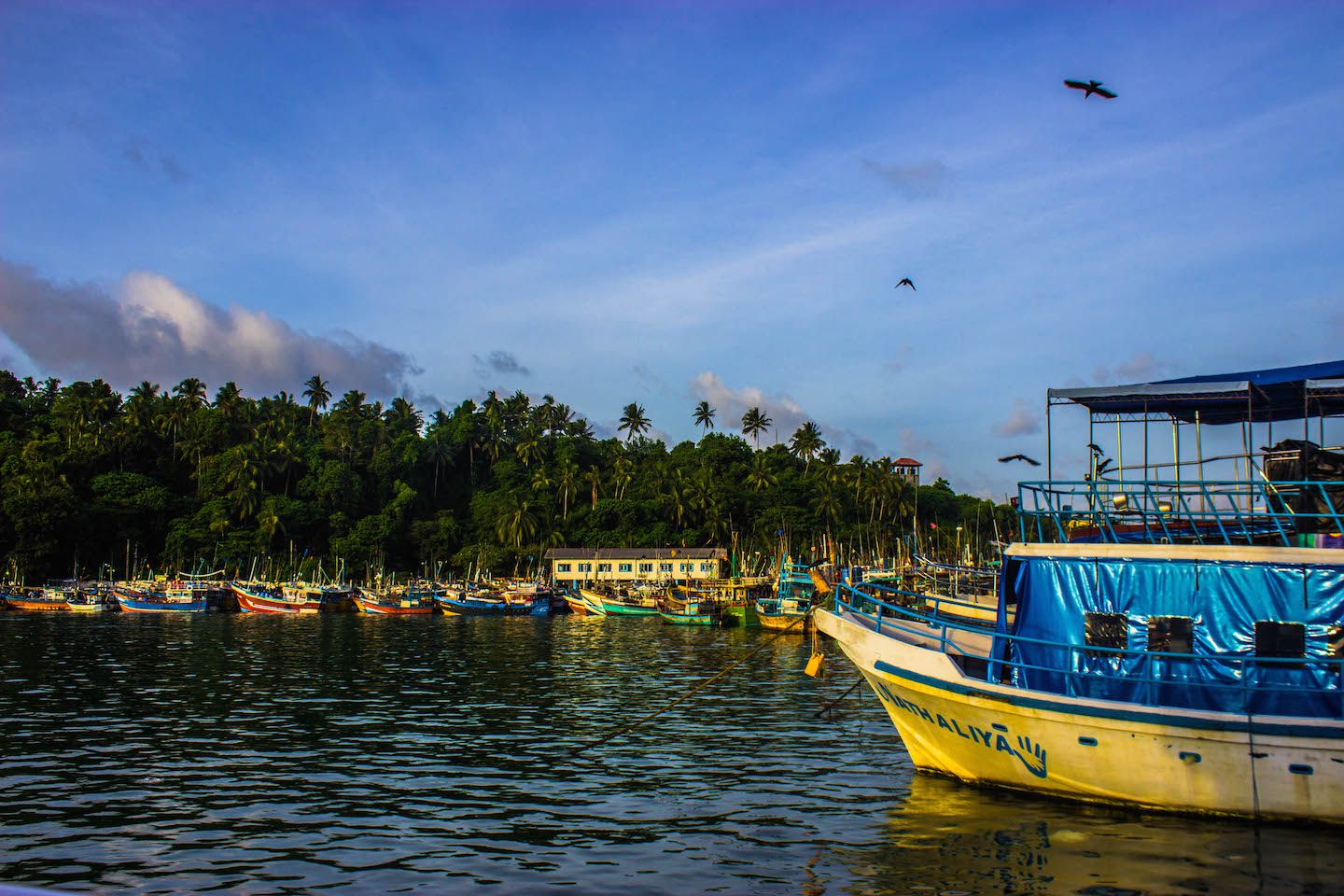 Boats at the fishing harbour, Mirissa, Sri Lanka