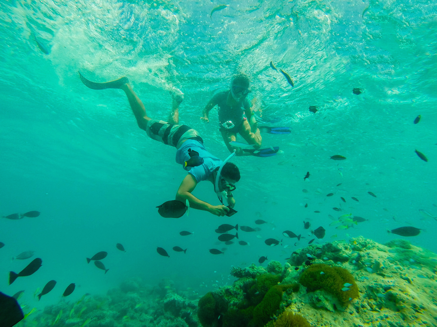 Carlos taking pictures of the soft corals and clown fish, Maldives