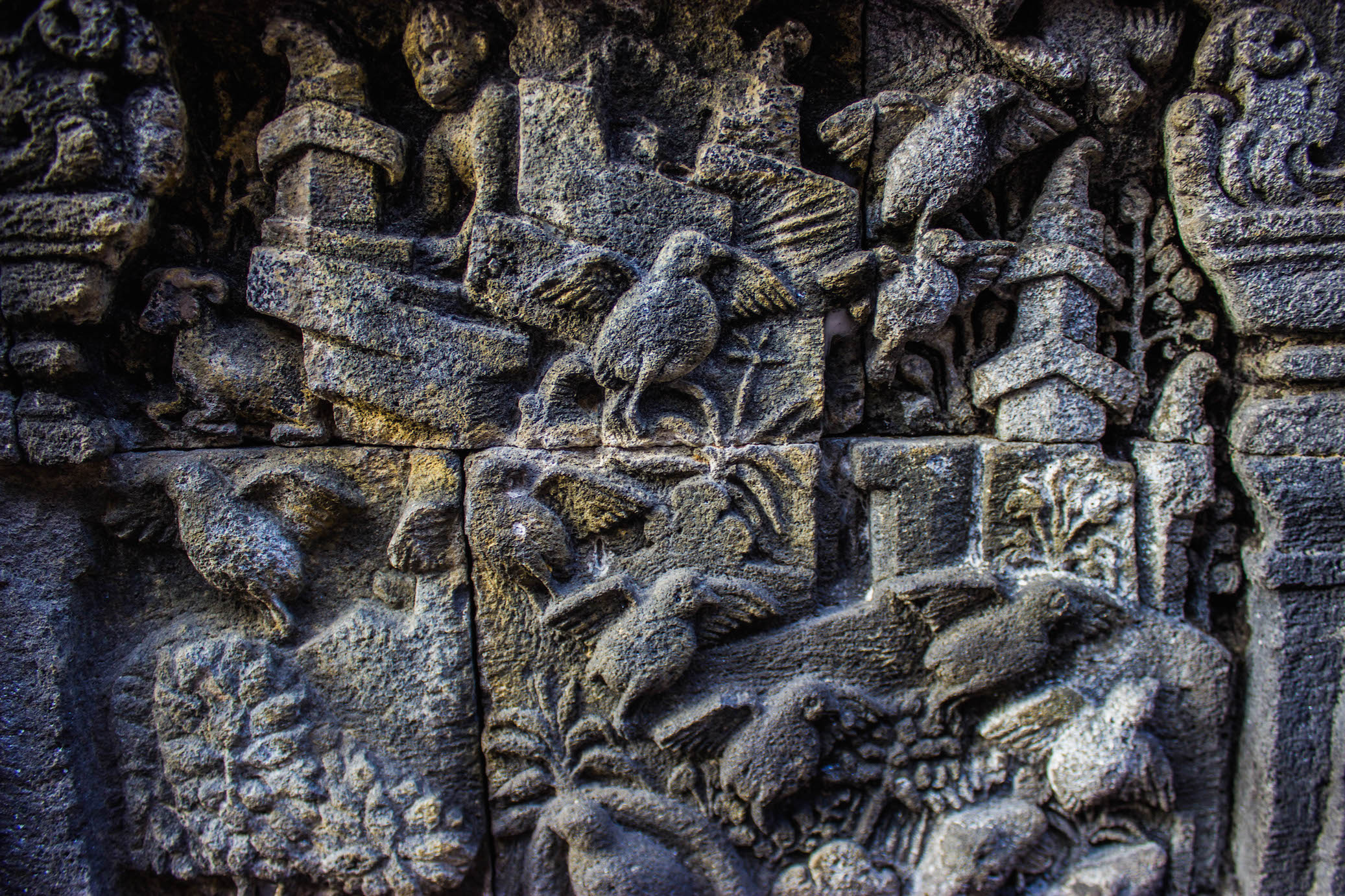 Birds carved on the walls of Borobudur, Indonesia