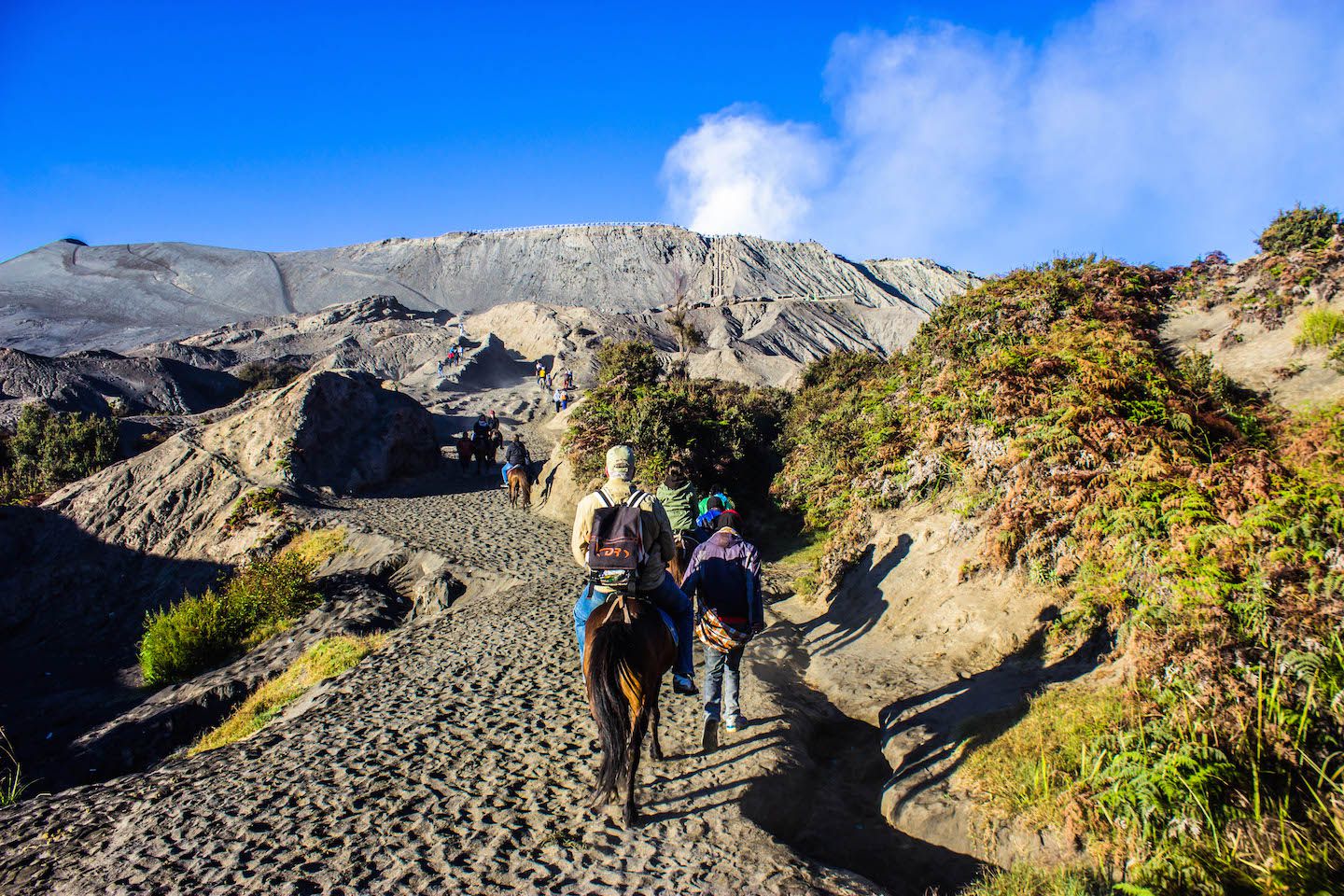 Horse walking up to the crater of Mt. Bromo, Indonesia