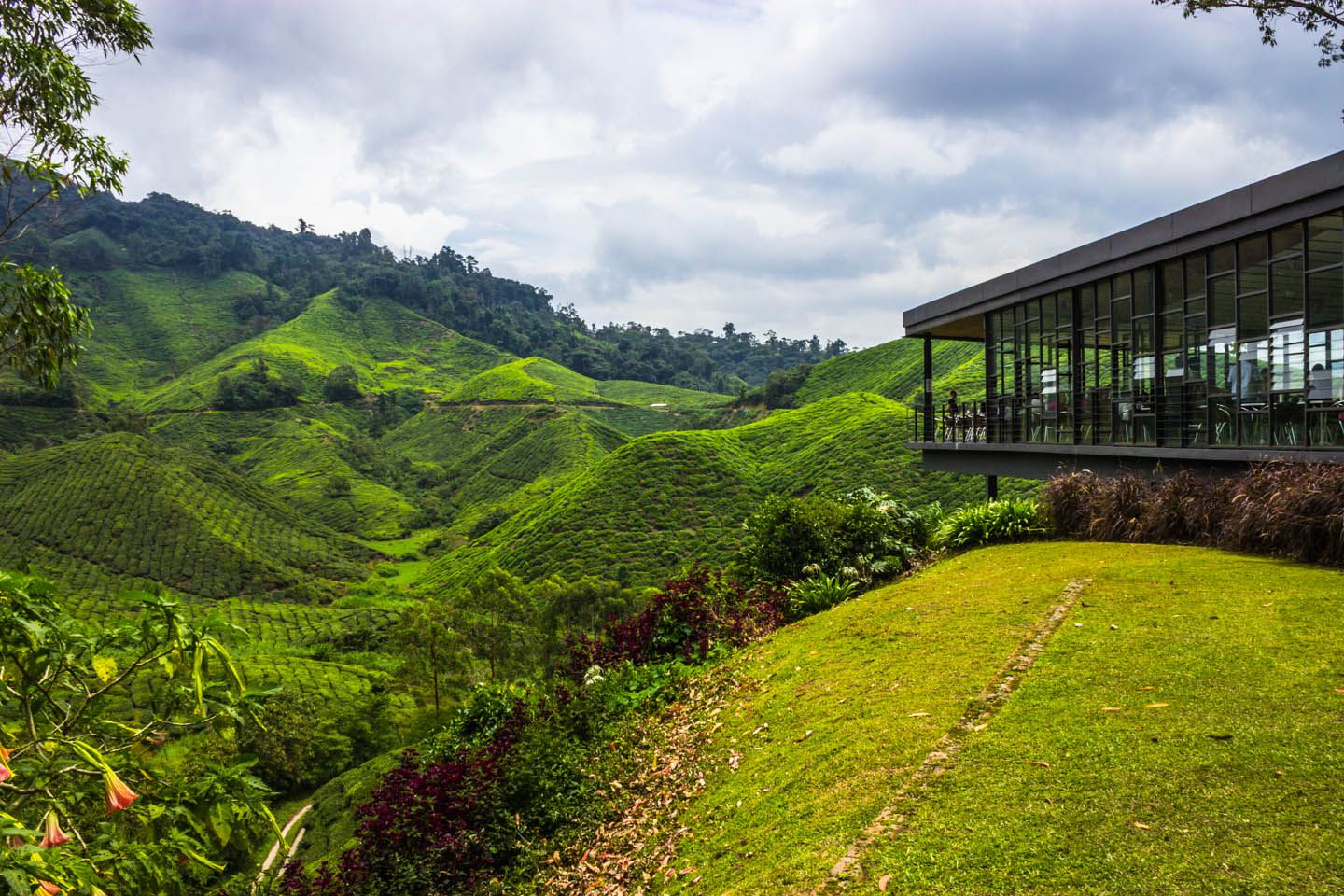 Boh tea factory, Cameron Highlands, Malaysia