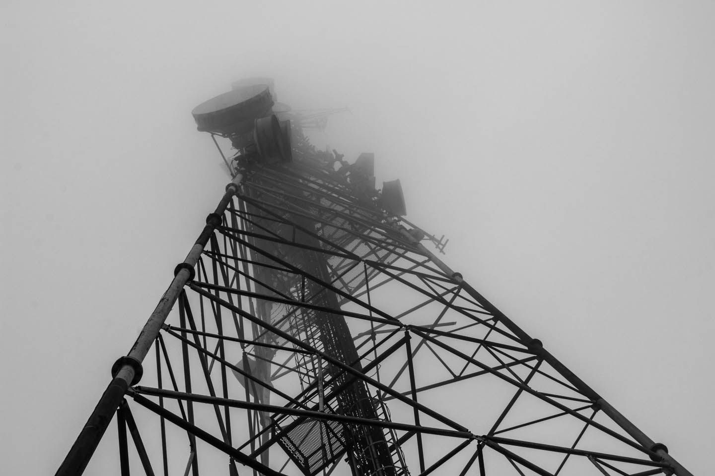 Communication tower covered by fog at Gunung Brinchang, Cameron Highlands, Malaysia
