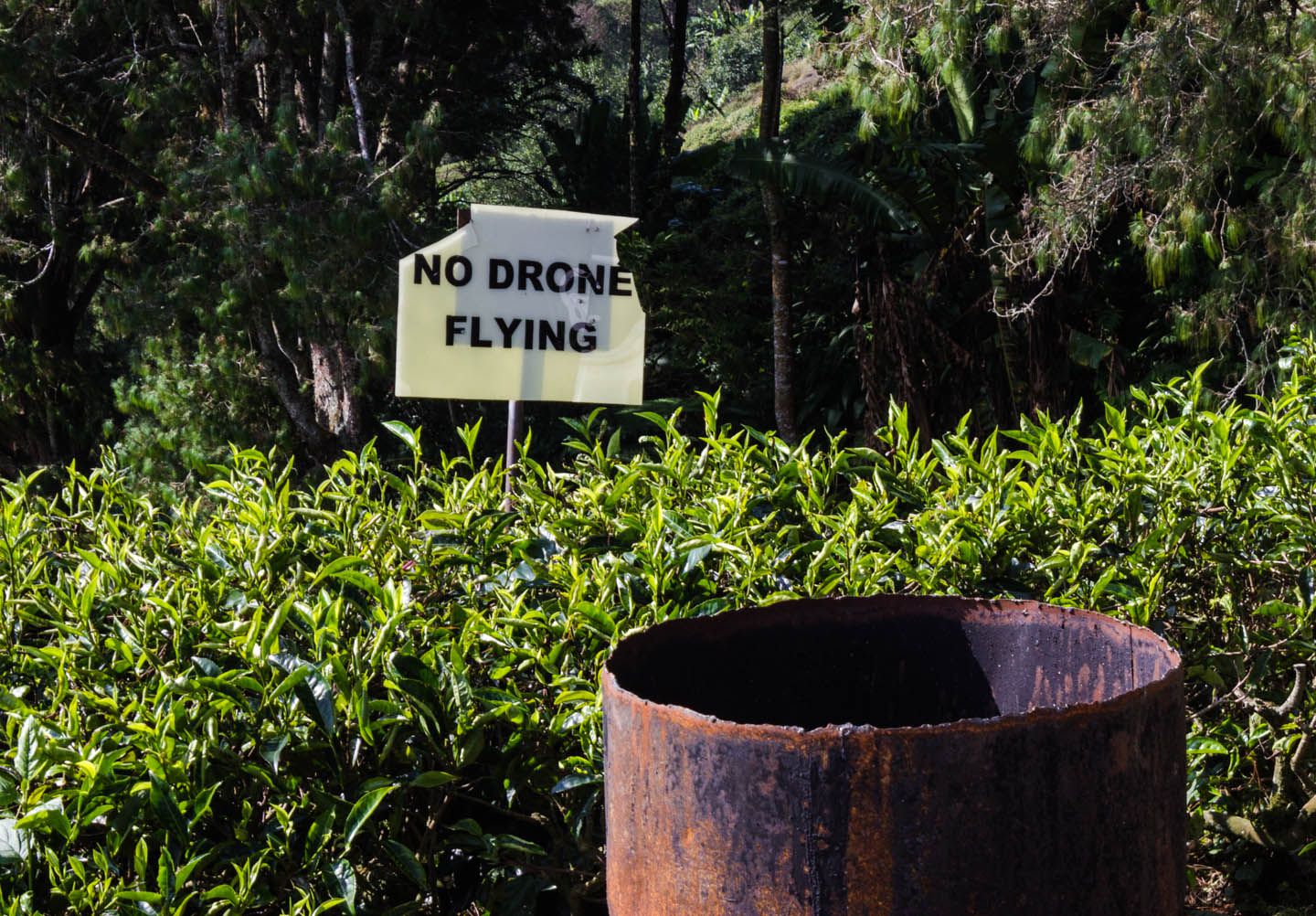No drone flying, Cameron Highlands, Malaysia