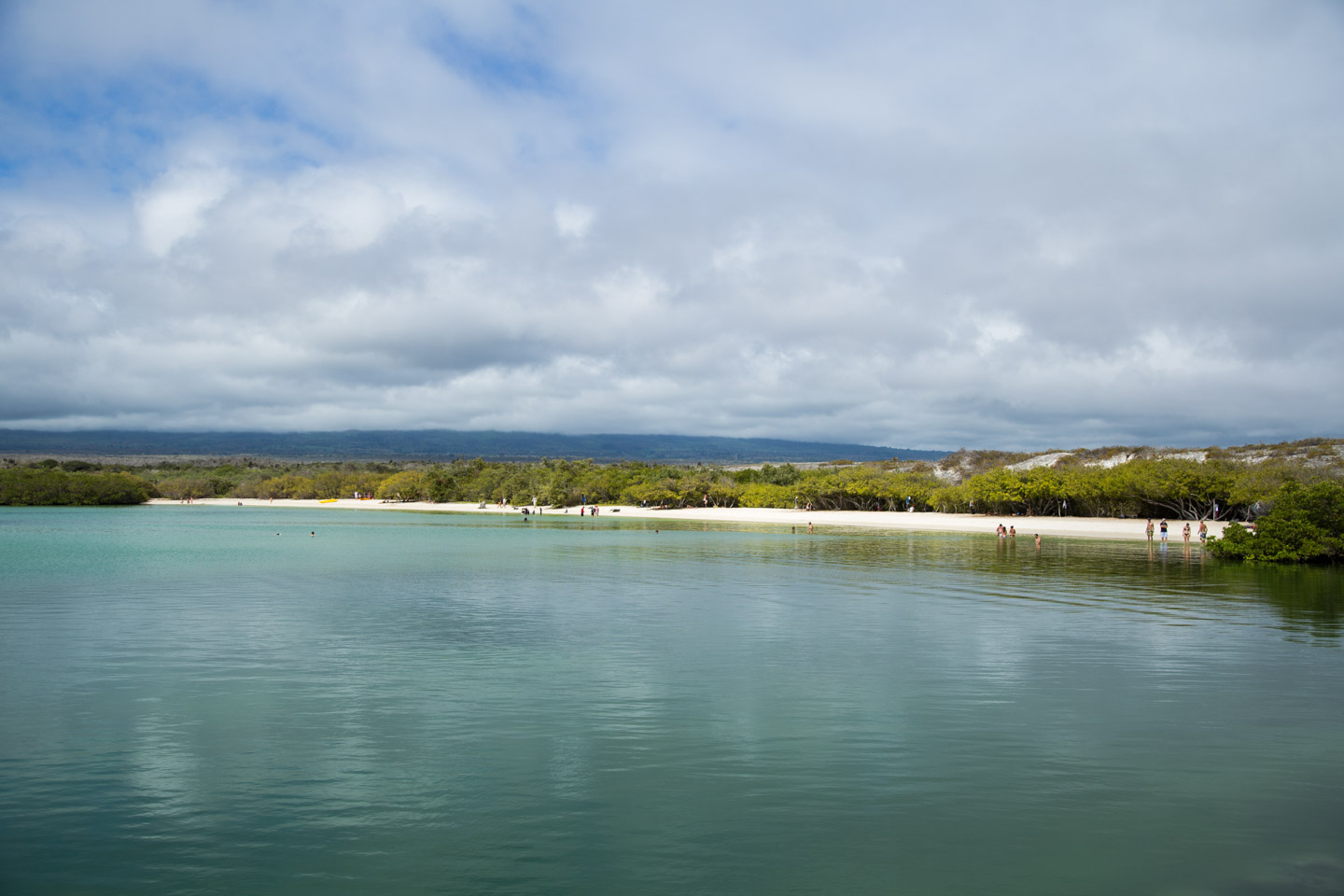 View of Playa Mansa at Tortuga Bay, Santa Cruz Island, Galápagos Islands, Ecuador