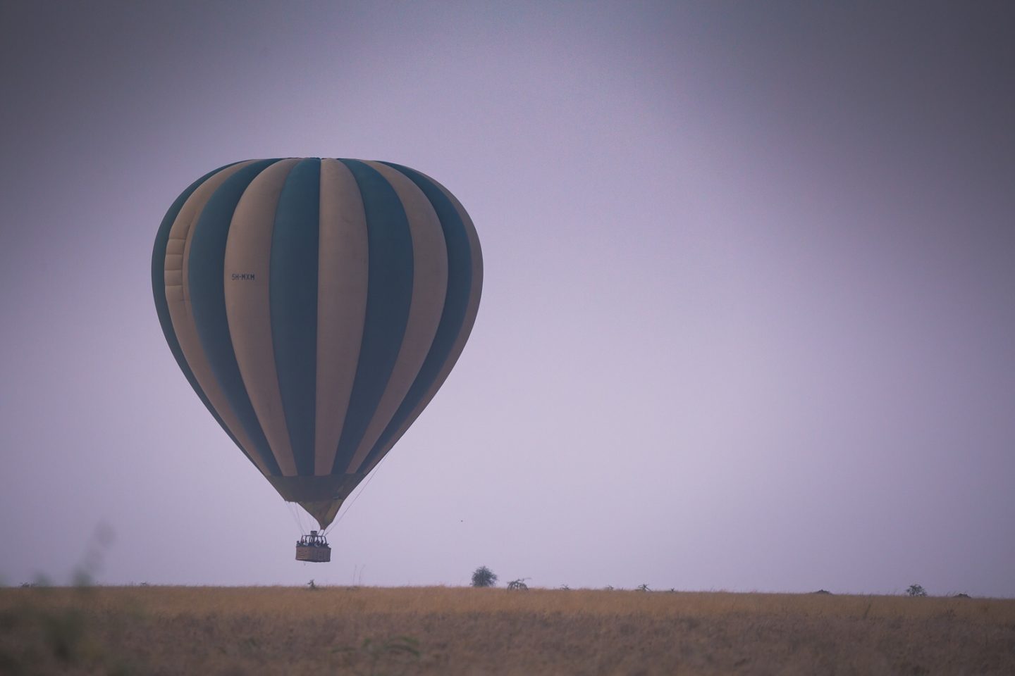Hot air balloon ride over the Serengeti.